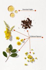 Phytocolor 7.43 Kumral Bakır Dore Amonyaksız Kalıcı Bitkisel Saç Boyası