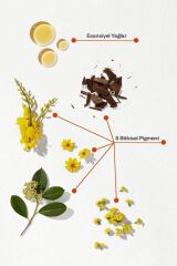 Phytocolor 5 Açık Kestane Amonyaksız Kalıcı Bitkisel Saç Boyası